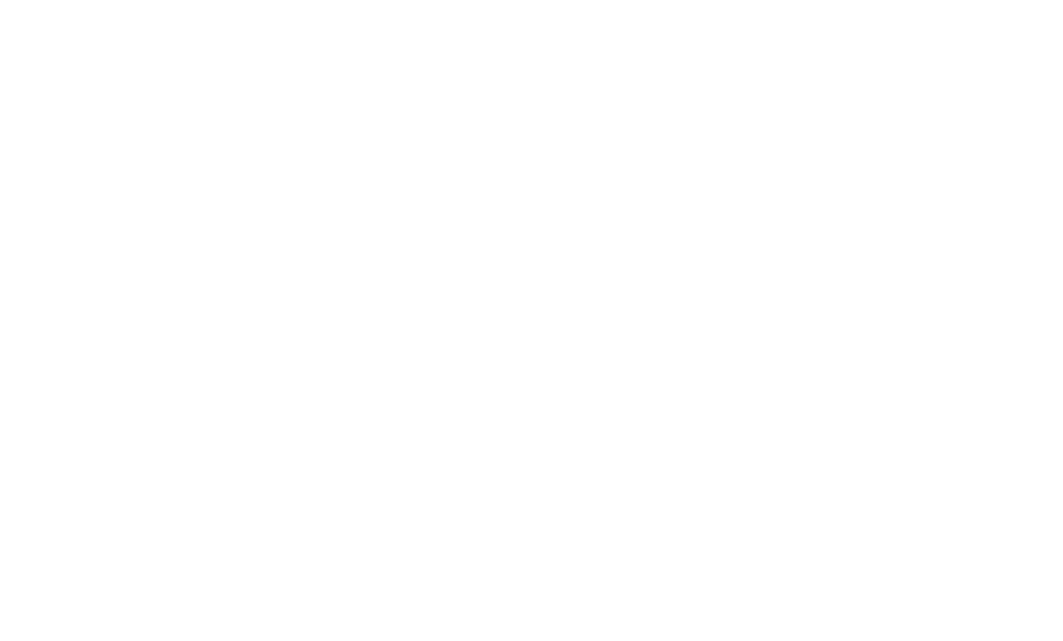 WWWMS Inc.
